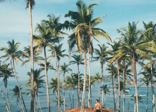 Mirissa – Sri Lanka